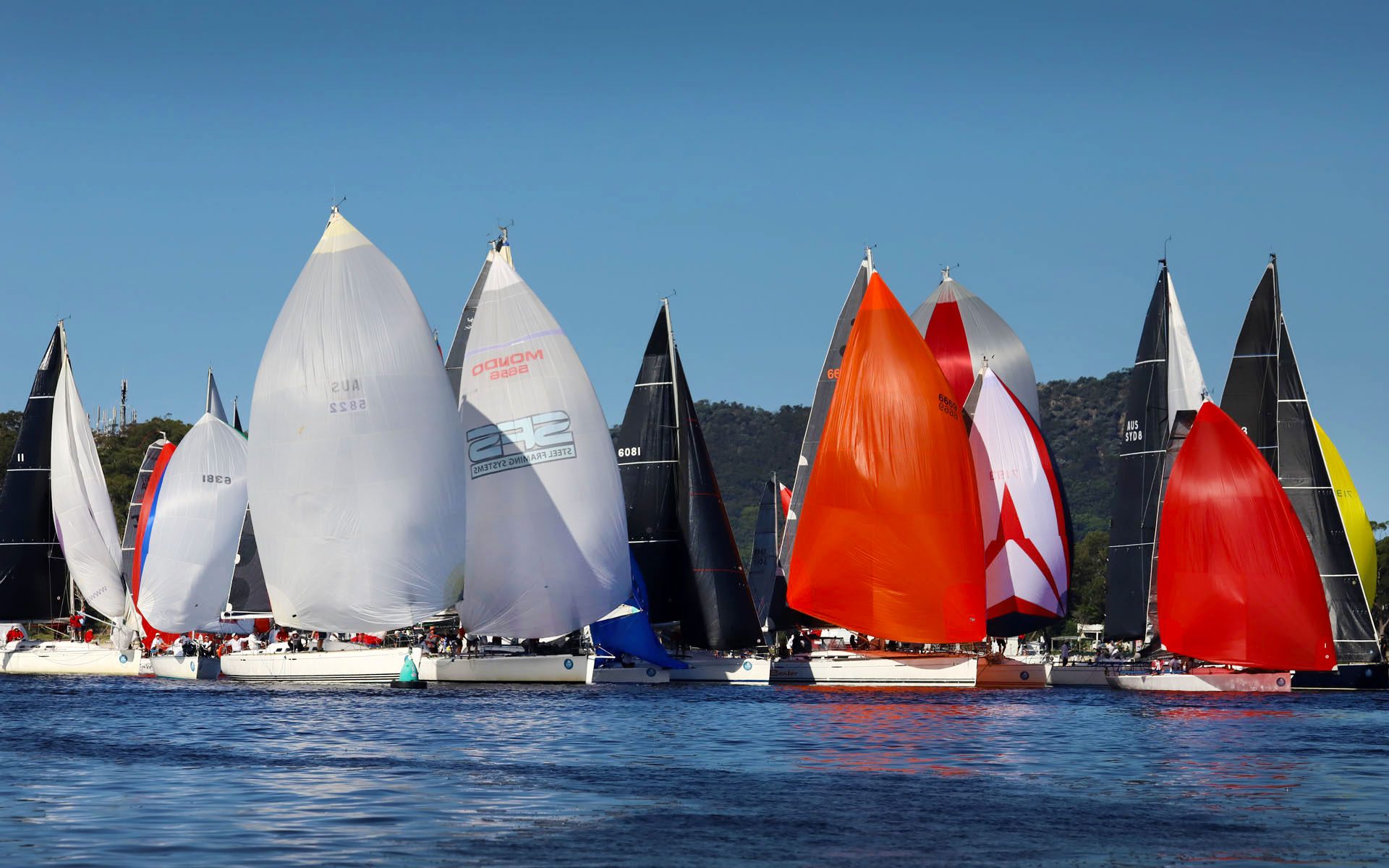 Sail Port Stephens
