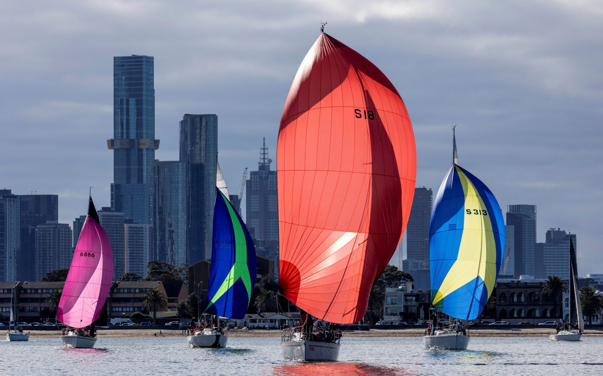 Picture perfect on Port Phillip- Andrea Francolini, AWKR pic